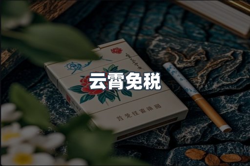 云霄免税